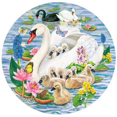 Swans And Cygnets 1000 Piece Round Jigsaw Puzzle