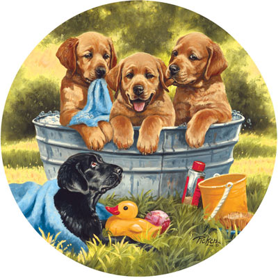 Squeaky Clean 300 Large Piece Round Jigsaw Puzzle