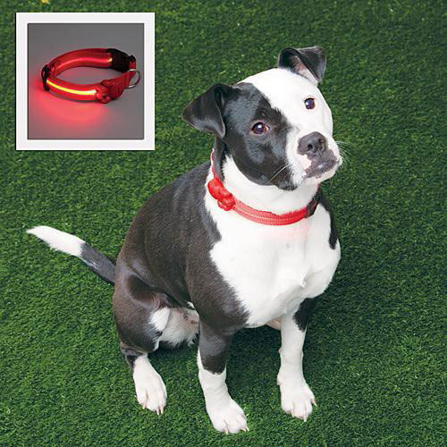 Adjustable LED Dog Collar - Red