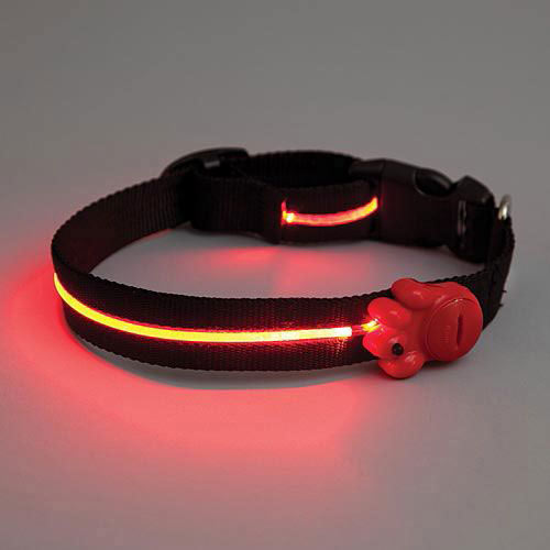Adjustable LED Dog Collar - Black