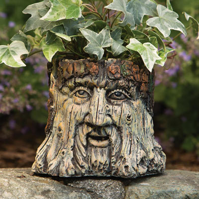 Tree Face Planter