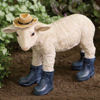 Sweet Lamb In Boots