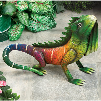 Kiwi the Tropical Iguana