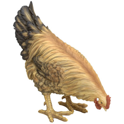 Life Sized Chicken