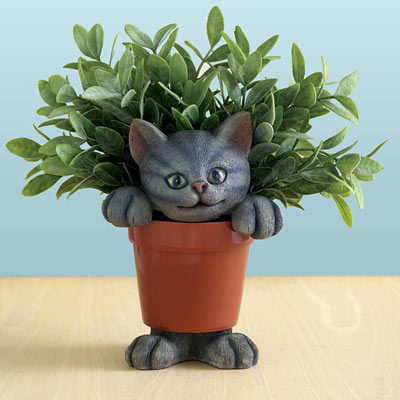 Cat In A Planter