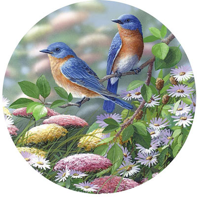 Meadow Blue 300 Large Piece Round Jigsaw Puzzle
