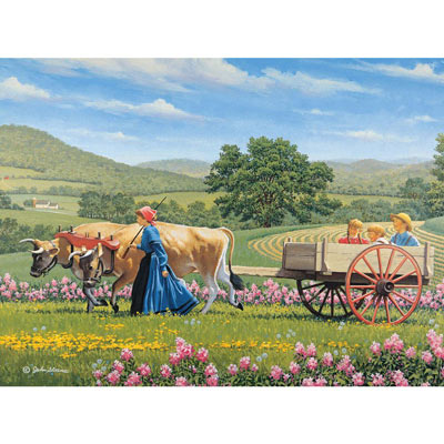 Rolling Along 1000 Piece Jigsaw Puzzle