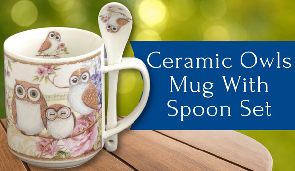 Ceramic Owls Mug With Spoon Set