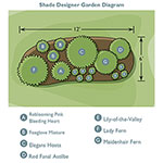 Shade Designer Garden