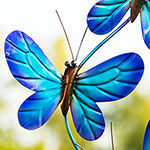 Blue Butterfly Wind Spinner