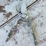 7" Stainless Steel Bypass Secateurs