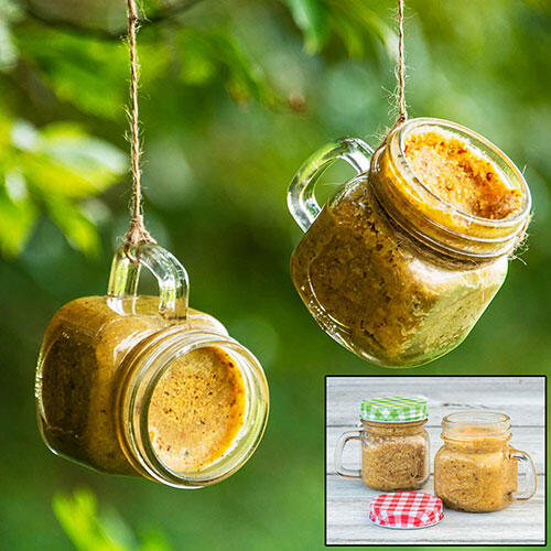 Peanut Butter Mason Jar Feeders - Set Of 2