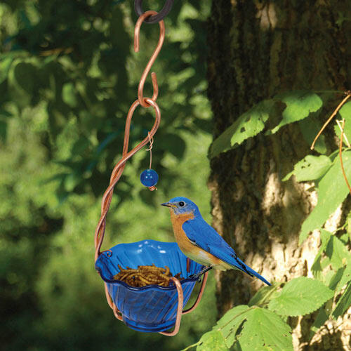 Copper Bluebird Mealworm Feeder