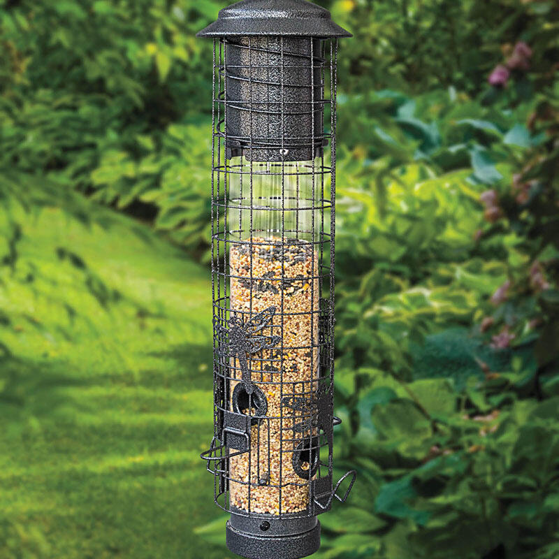 SquirrelProof Dragonfly Bird Feeder Brecks Premium Bulbs
