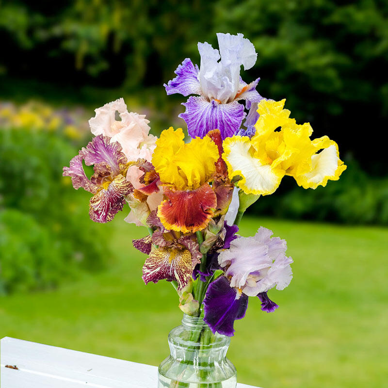 28 Faux Iris Flower Stem