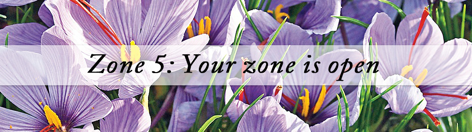 Best Plants for Zone 5