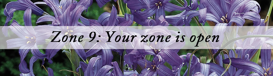 Best Plants for Zone 9