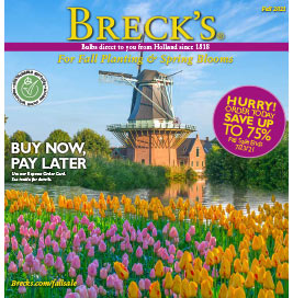 Catalog Request