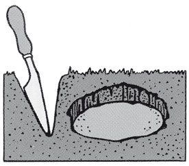 Dig A Hole