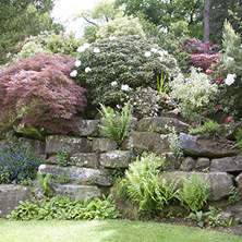 Perennial Beds & Rock Gardens