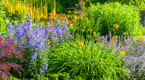 How to Plan a Flower Garden: Simple Tips and Tricks