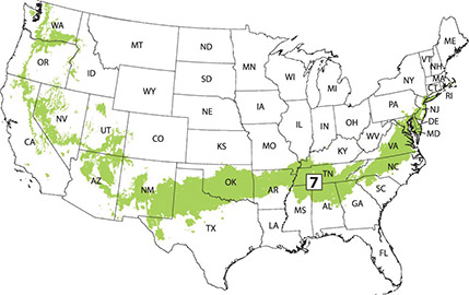 U.S. Growing Zone Map - Zones for Plants