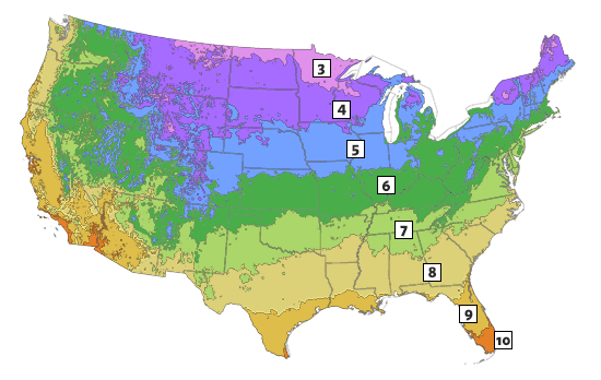 Zone 5 Plants Map Zone 5 Plants - Find The Best Plants For Hardiness Zone 5 | Breck's