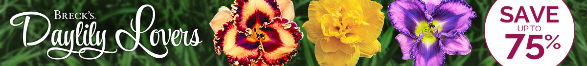 Daylily Lovers