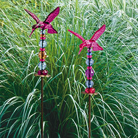 Jeweled Hummingbird Stakes