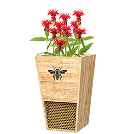 Combo Bee House And Planter