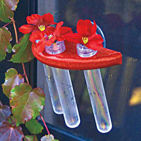 Window Hummingbird Feeder