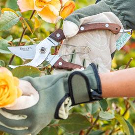 Breck's® Rosewood Pruners