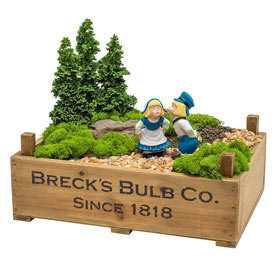 Breck's Dutch Bulb Crate