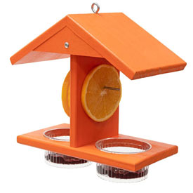 Double Fruit And Jelly Oriole Feeder