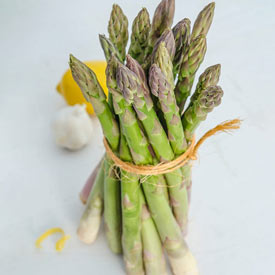 Asparagus Eclipse