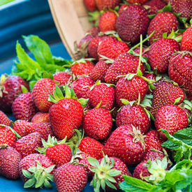 Strawberry Junebearing 'Honeoye'