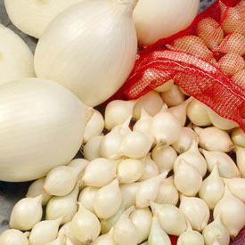 Onion Set White Snowball