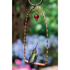 Hummingbird Perch