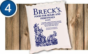 Supplementing with Breck's Food