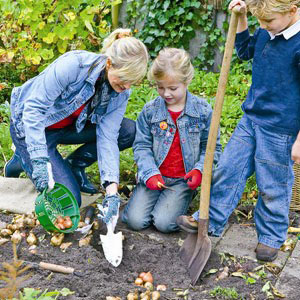 Dutch Growers