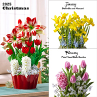 Bulb Garden of the Month Club<sup>™</sup>