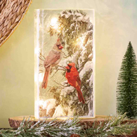 Lighted Glass Cardinal Luminary