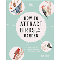 How to Attract Birds to Your Garden