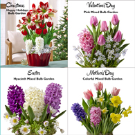 4-Month Holiday Club