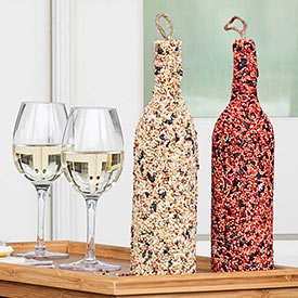 Birdseed Wine Bottles-Set of 2