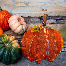LED Pumpkin