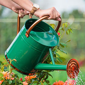 Copper-Trimmed Watering Can