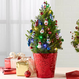 Christmas Classic Potted Spruce