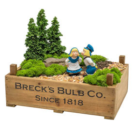 Breck's Dutch Bulb Crate