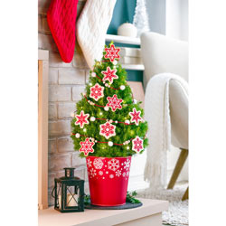 Spirited Gnomes Potted Spruce Tree